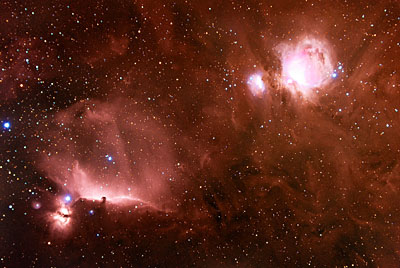 Horse Head and Orion Nebulae