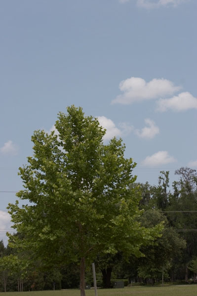 01_IMG_3123_nofilter