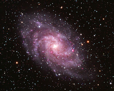 M33