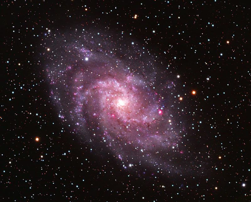 M33