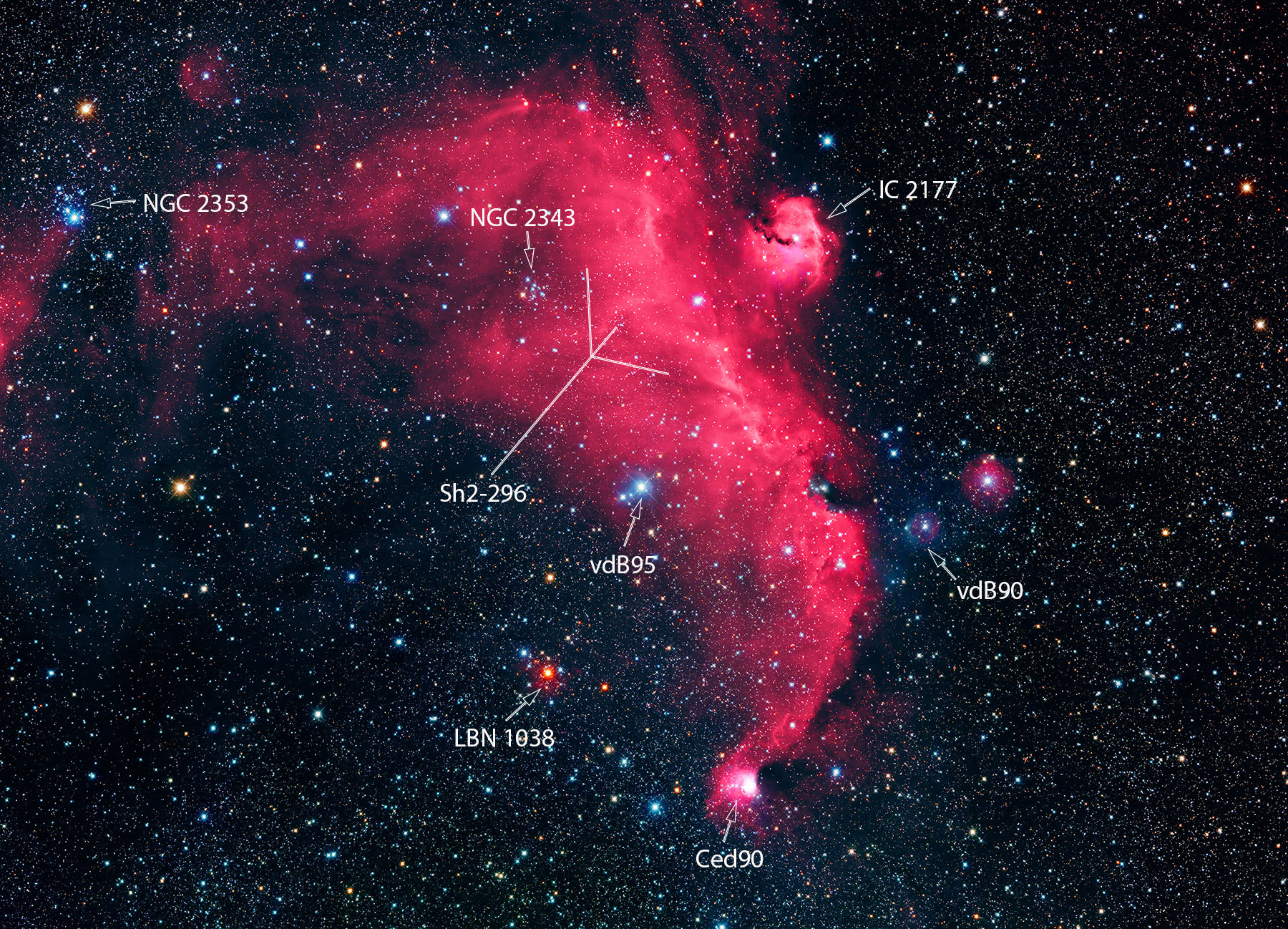 IC 2177 Seagull Nebula