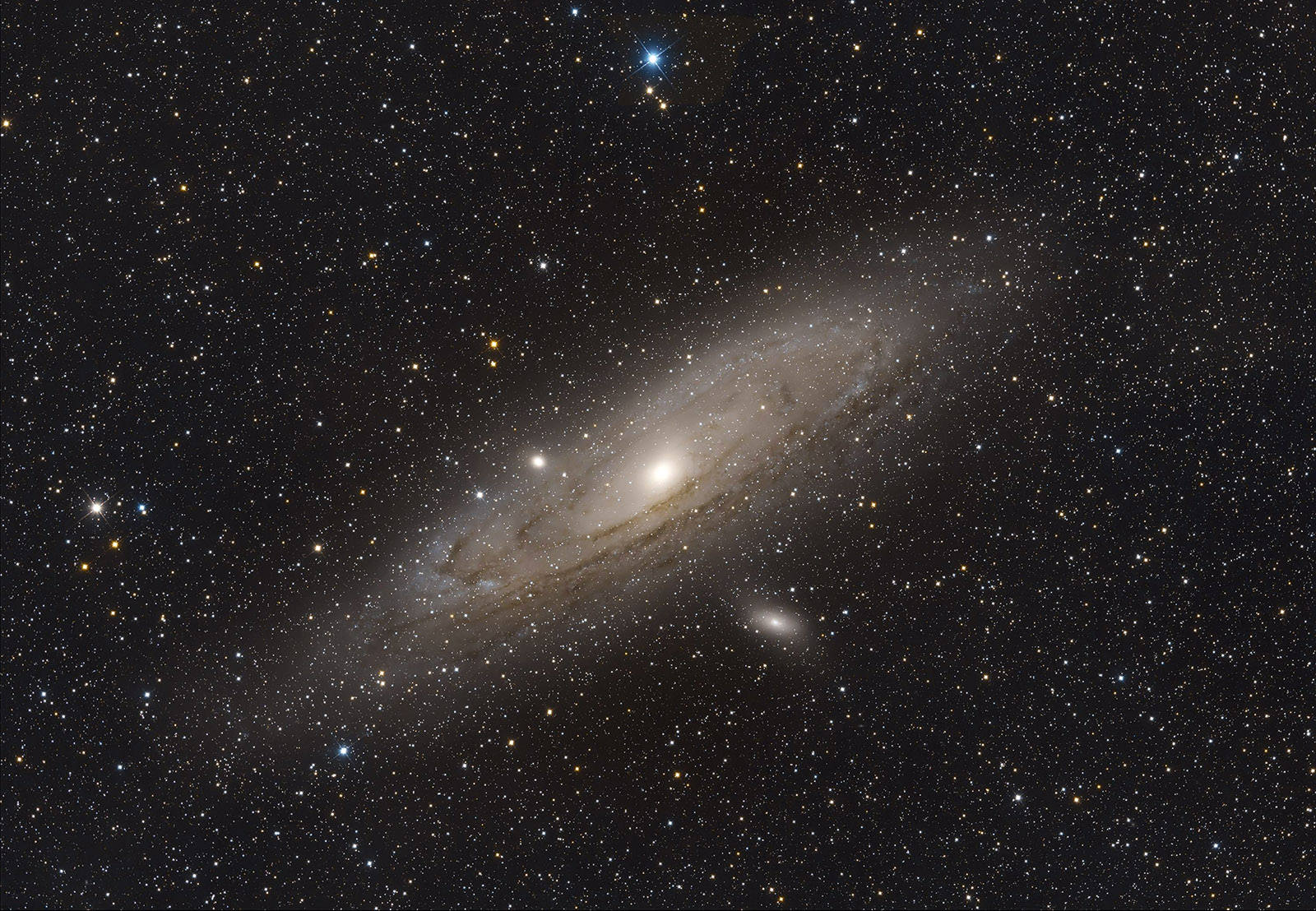 M81