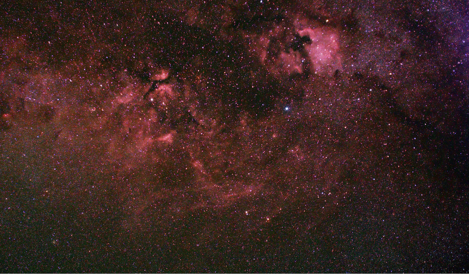 Cygnus