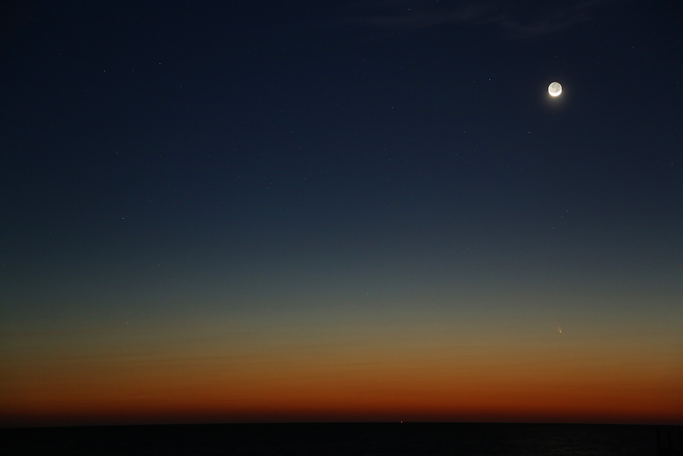Comet PANSTARRS