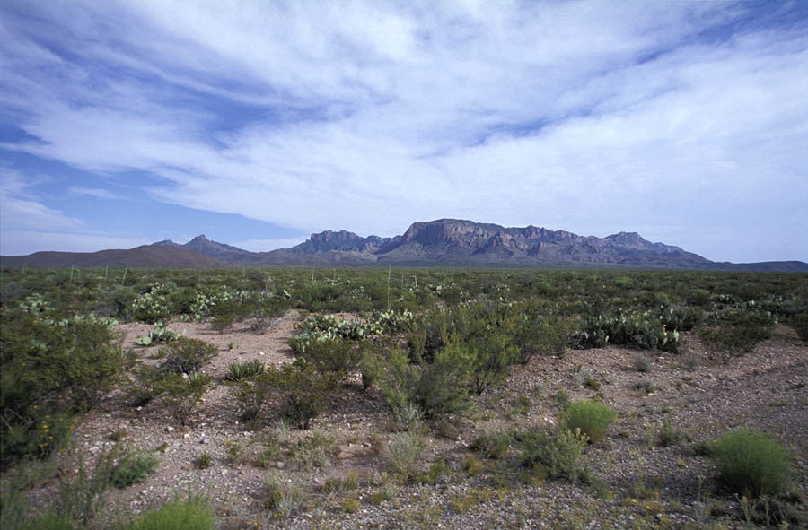 bigbend1