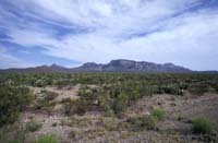 bigbend1