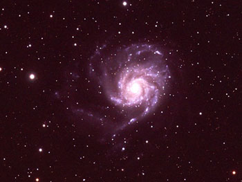 M101