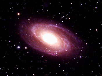 M81