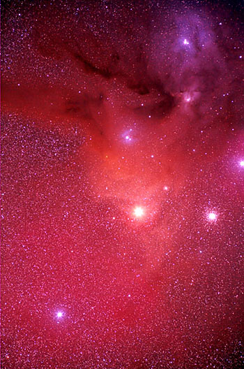Rho Ophiuchus - 200mm lens EOS 40D