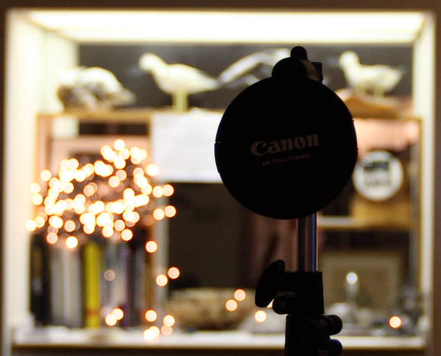 02_24_16-35II_2.8_IMG_0824