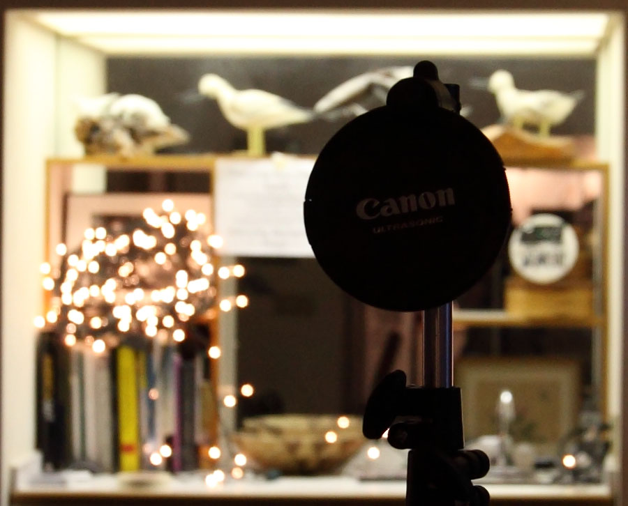 03_24_16-35_4.0_IMG_0837