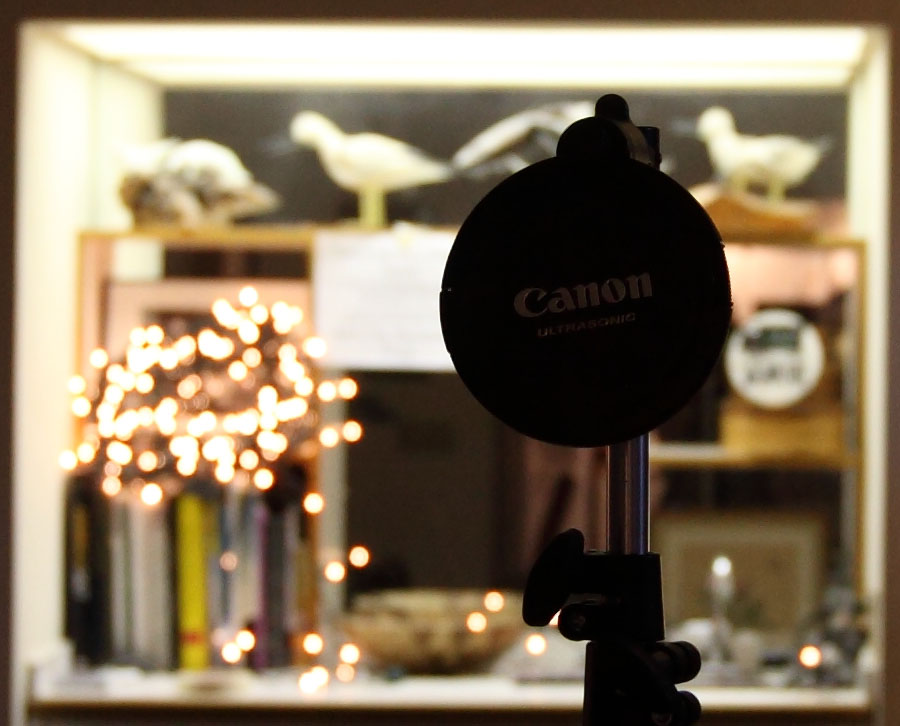 04_24_16-35II_4.0_IMG_0825