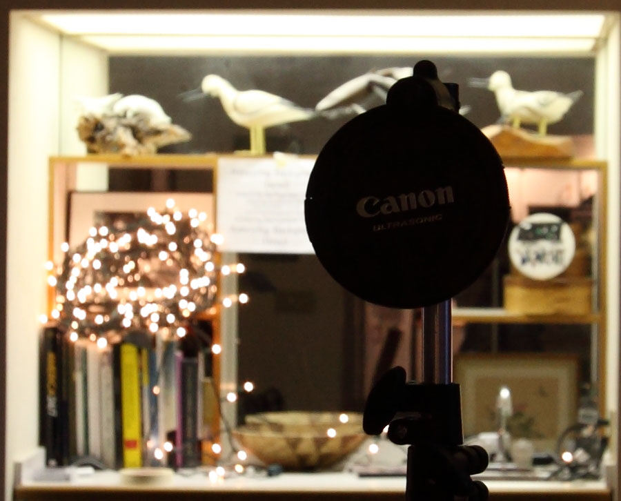 05_24_16-35_5.6_IMG_0838