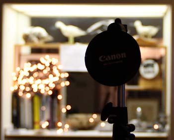 02_24_16-35II_2.8_IMG_0824