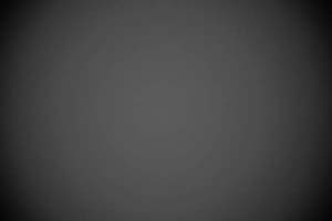 16_2.8_16-35_IMG_0728