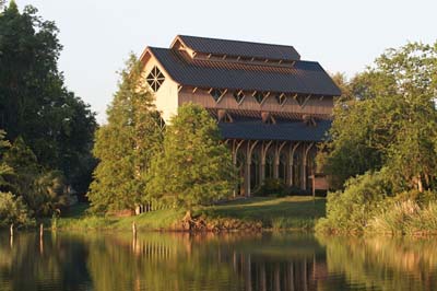 ef70-300DO_85_IMG_0590