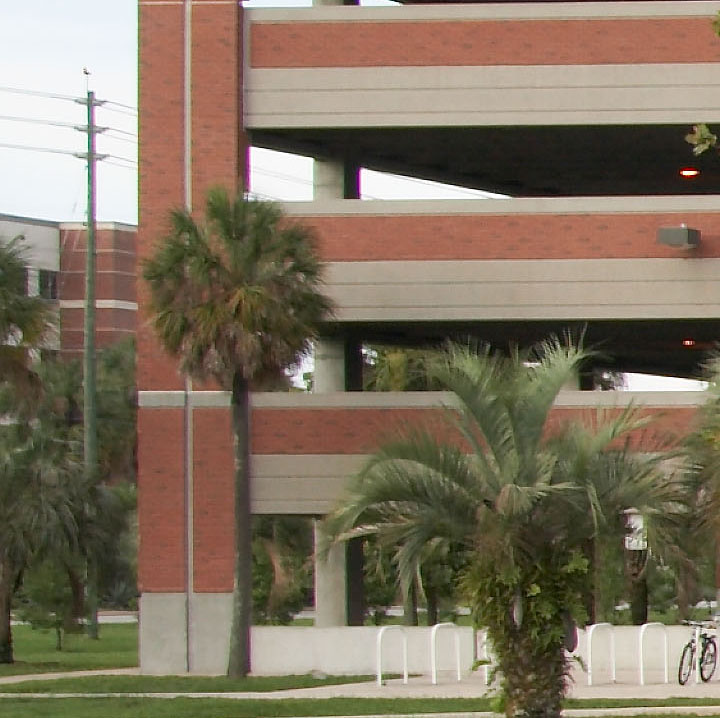 Sigma18-50_crop_IMG_0582