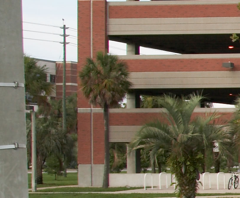 Tamron17-50_crop_IMG_0580