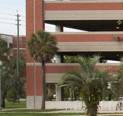 ef-s17-55_crop_IMG_0574