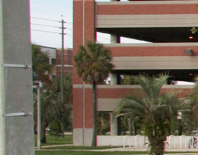 ef-s17-85_crop_IMG_0576