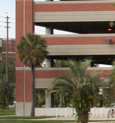 ef-s18-55_crop_IMG_0578