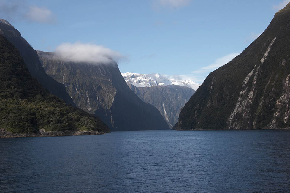 nz_milf_c9579_33mm_f11