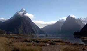 nz_milf_c9549_28mm_f11