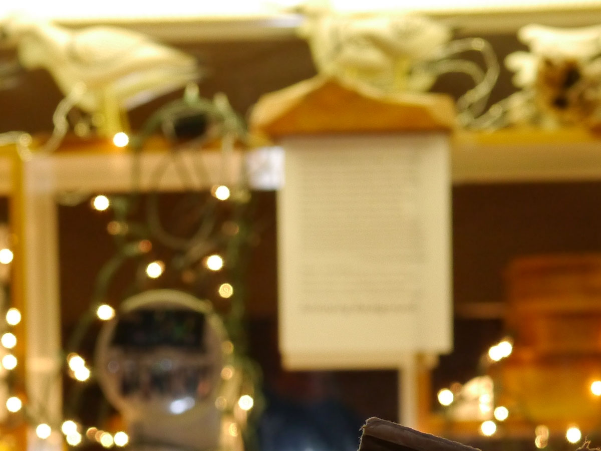 f2.8_46_1.4_PanLeica25