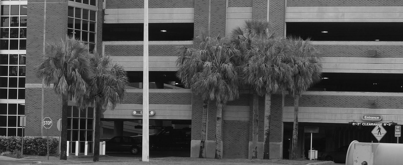 monochrome