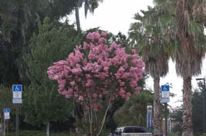 IMG_3151_UV