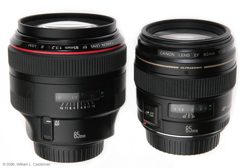 Medisch wangedrag Intens Empirisch Review of Canon EF 85mm f/1.2L II Lens and Canon EF 85mm f/1.8 Lens
