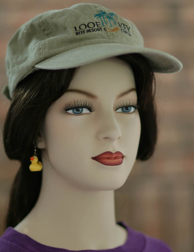 {short description of image}