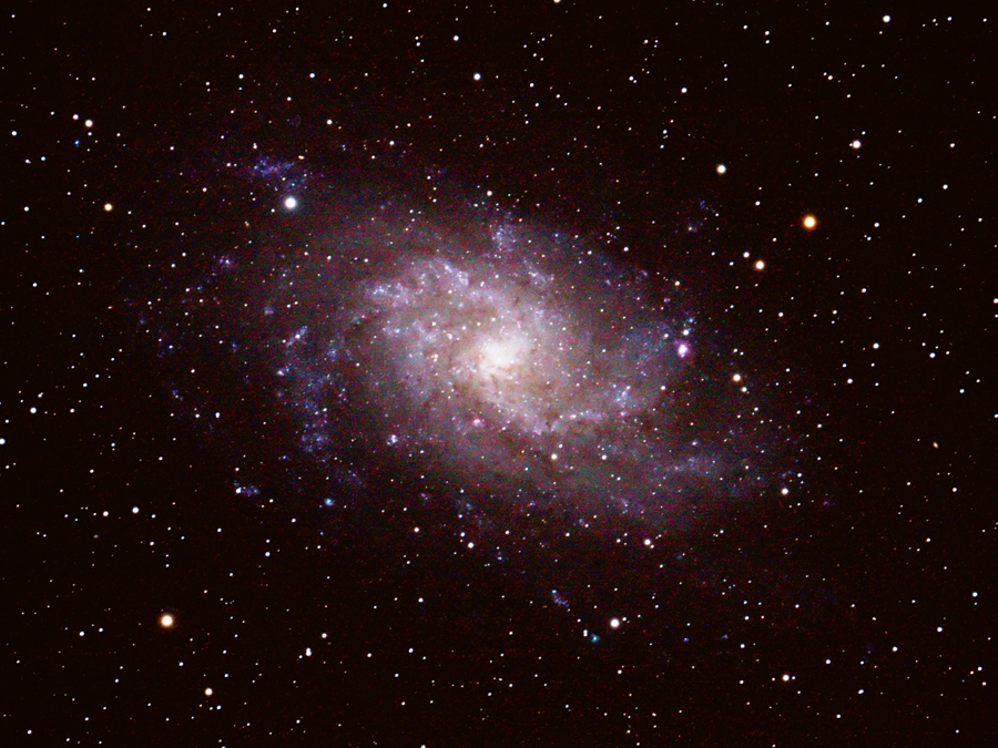 M33