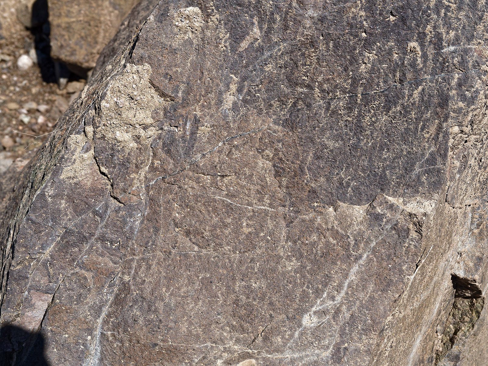 Roadcut basalt near Creede.