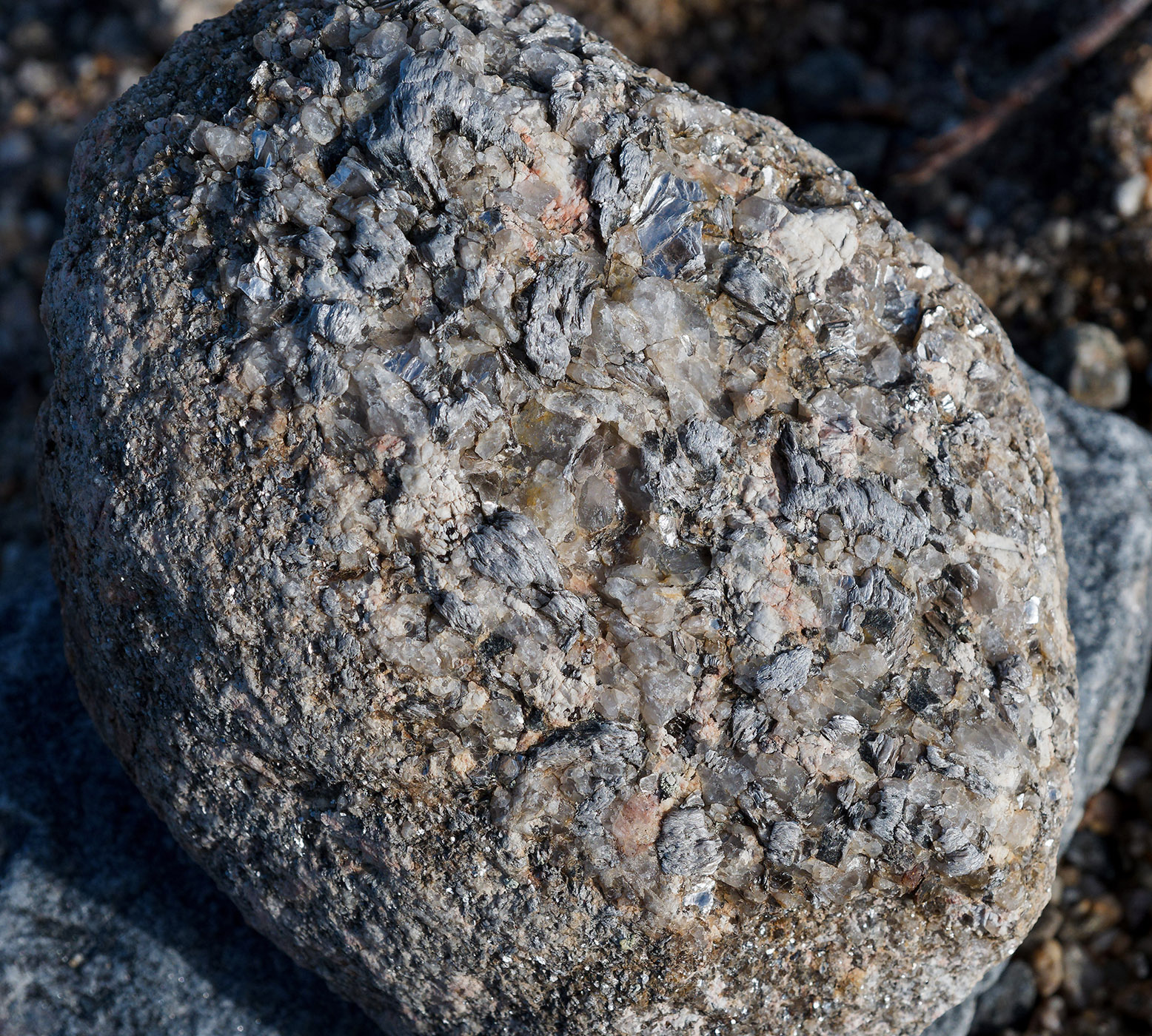 Weathered porphyritic granite with K-feldspar phenocrysts, mica crystals and Na-feldspar at West Alluvial Fan in Fall River Valley.