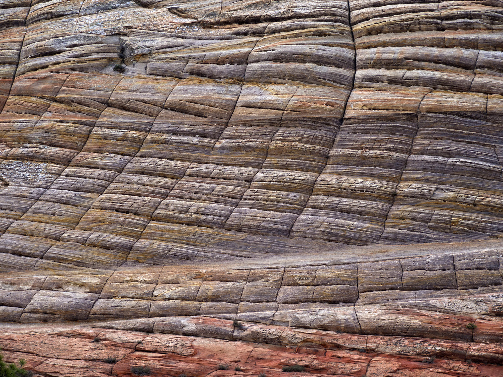 Checkerboard Mesa, detail of crossbedded sandstone layers deposited in the Jurassic Period (200-145 million years ago).