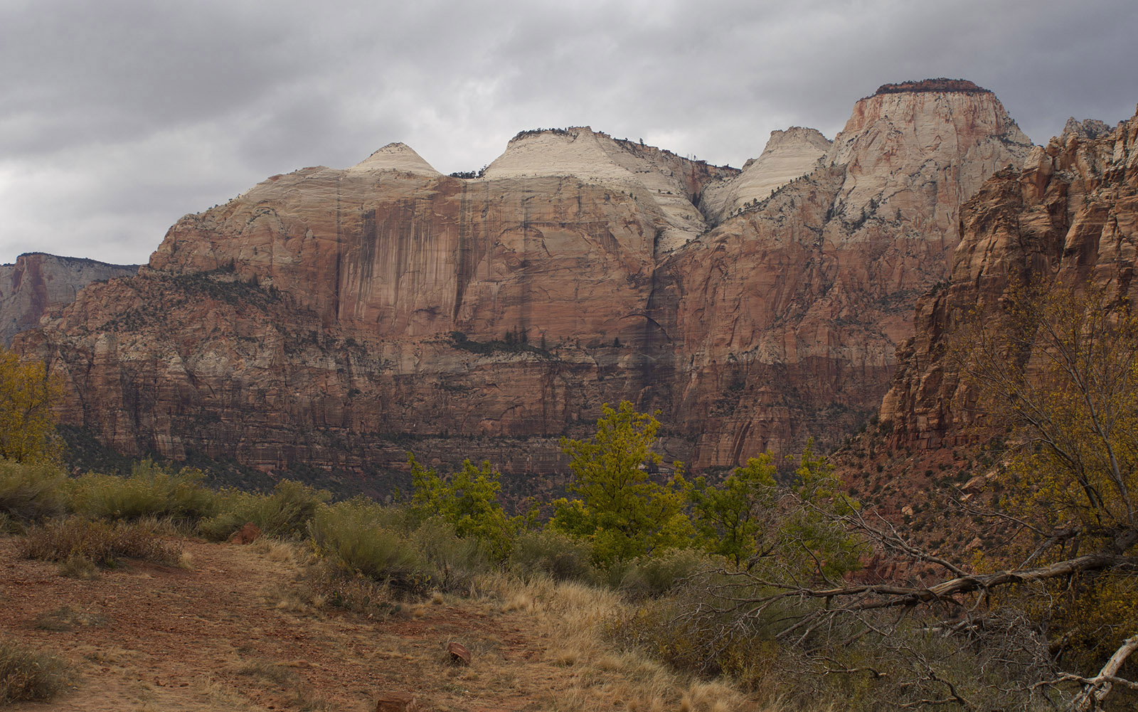 Navaho sandstone pillars, Zion National Park, Utah.