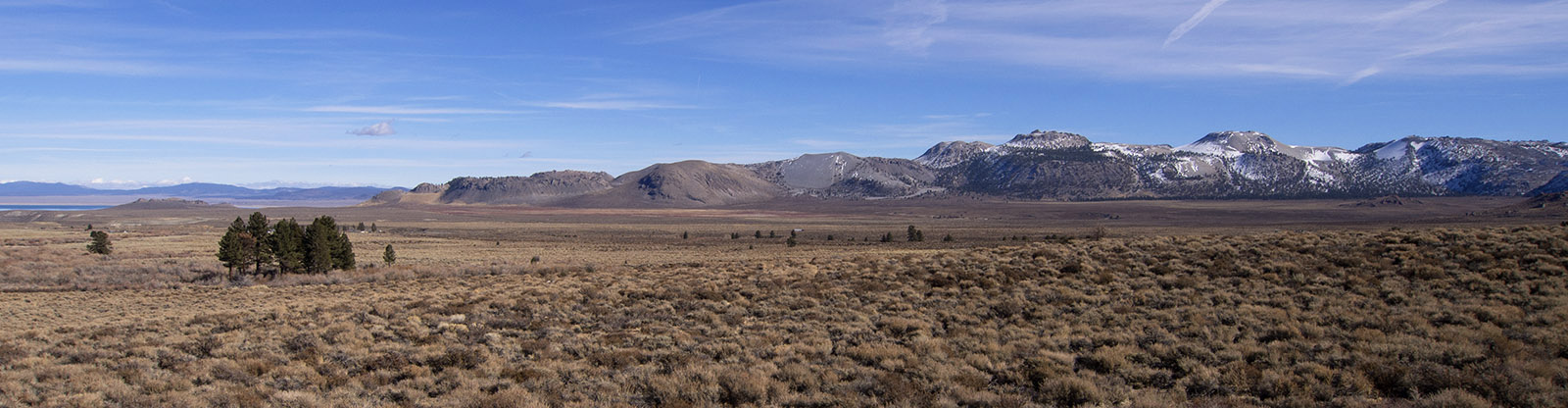 Mono Domes, the newest mountain range in the USA.  These rhyolitic volcanic domes and coulees (glass flows) that have high silicon content have formed by episodic eruptions between 35,000 and 650 years ago.