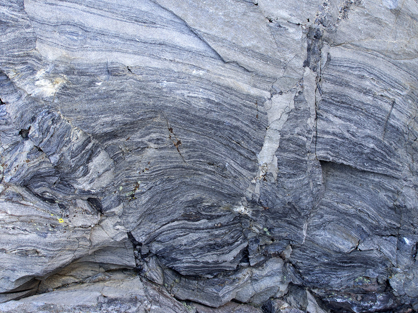 Panum Crater Plug:  Bands of obsidian and pumice are in the blocks forming the plug.  This is rhyolitic lava with high silica content (75%) with potassium and sodium.  It has low content of iron, magnesium and calcium.