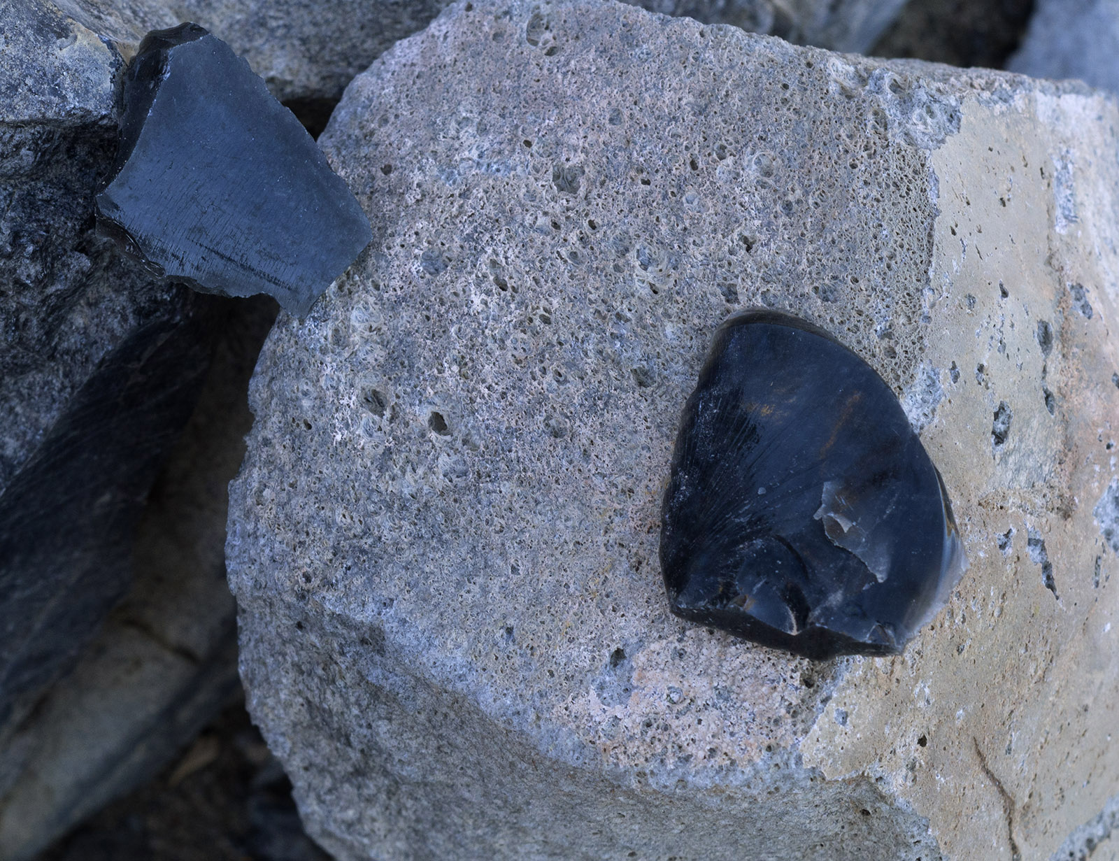 Panum Crater:  Pumice (lighter with air bubbles) and darker obsidian.   Both are formed from the same silica-rich (rhyolitic) volcanic material.  The pumice was from fast explosive eruption with rapid cooling to capture gas bubbles.  Obsidian is formed from slowly ejected material that cools rapidly after gas bubble escape.  The upper left piece obsidian is reflecting the sky and appears bluer than the lower right piece which is natural colored.