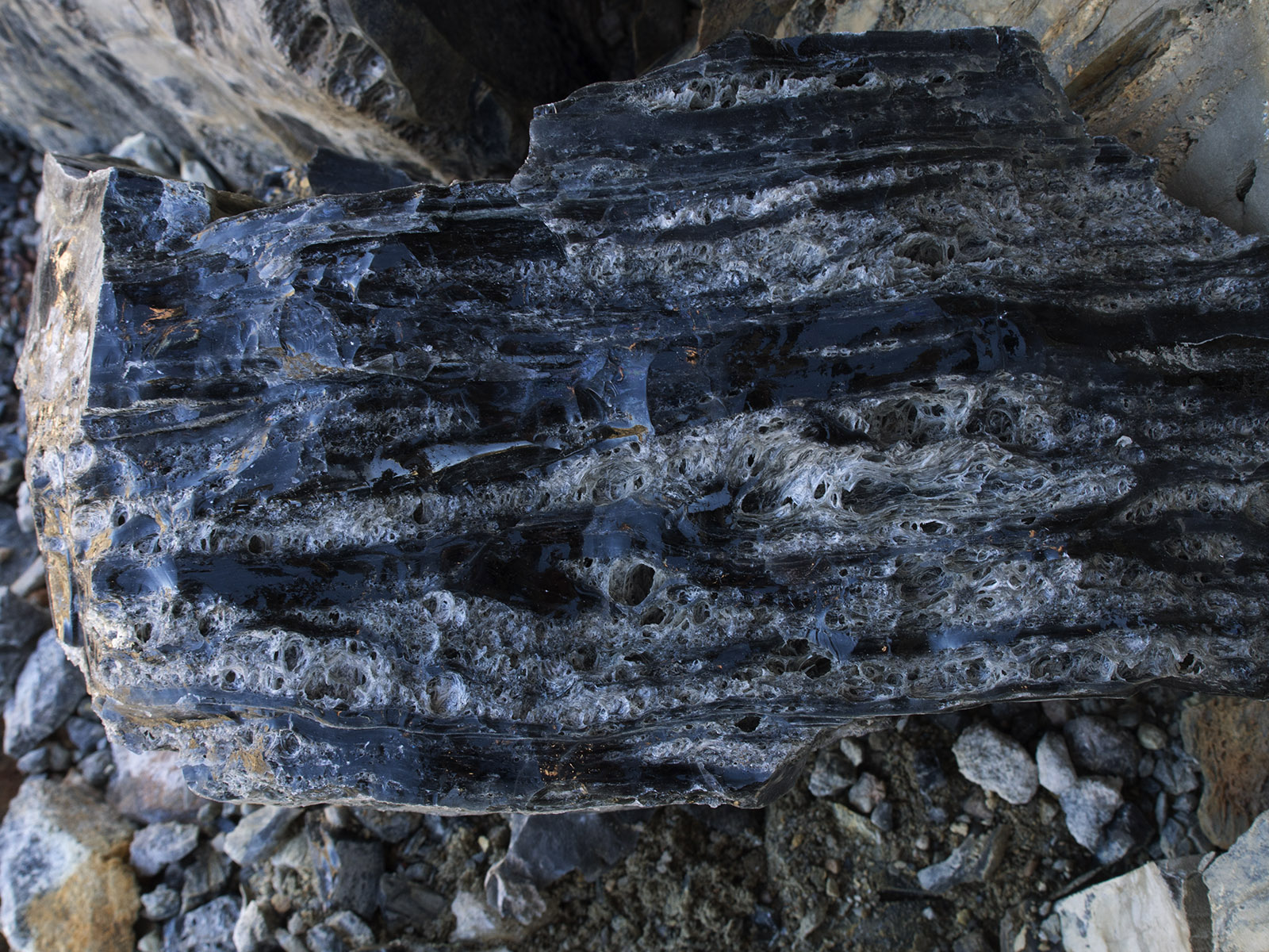 Panum Crater:  Banded obsidian.  You can see alternating bands where gas bubble didn't all escape before cooling solidified the rhyolitic ejecta.