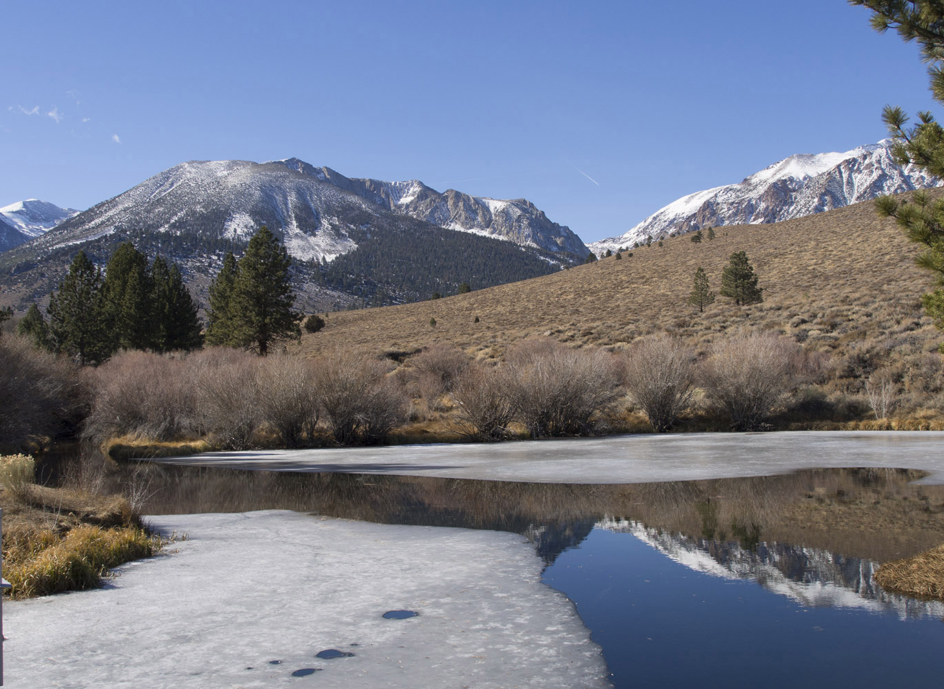 Parker Creek Water Collection Pond:  This ice-covered pond is near an area where my family camped and went trout fishing in the late 50's and earl 60's.  The City of Los Angeles no longer permits camping on this creek.