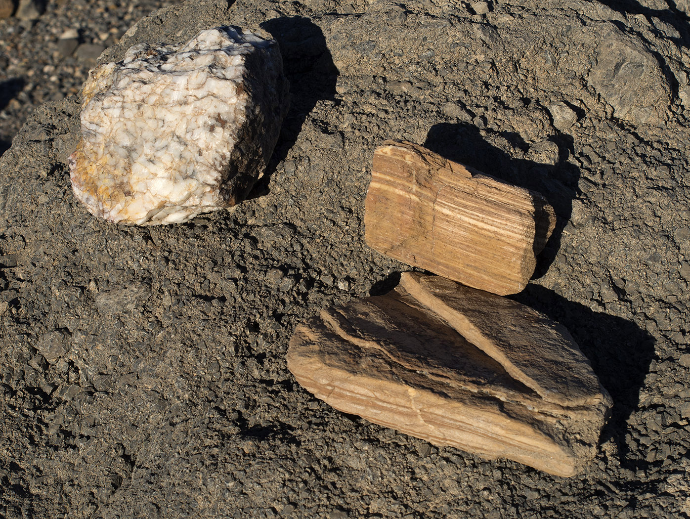 Eroded rock samples on the Mosaic Canyon alluvial fan.  The access road to Mosaic Canyon was closed.  Walking up the alluvial fan from the Ranger Station permitted inspection of rocks washed out of the canyon and surrounding areas.  Two pieces samples of eroded dolomite marble are on the right.  Polished quartzite is on the left.  All are sitting on conglomerate rock washed out of the canyon.