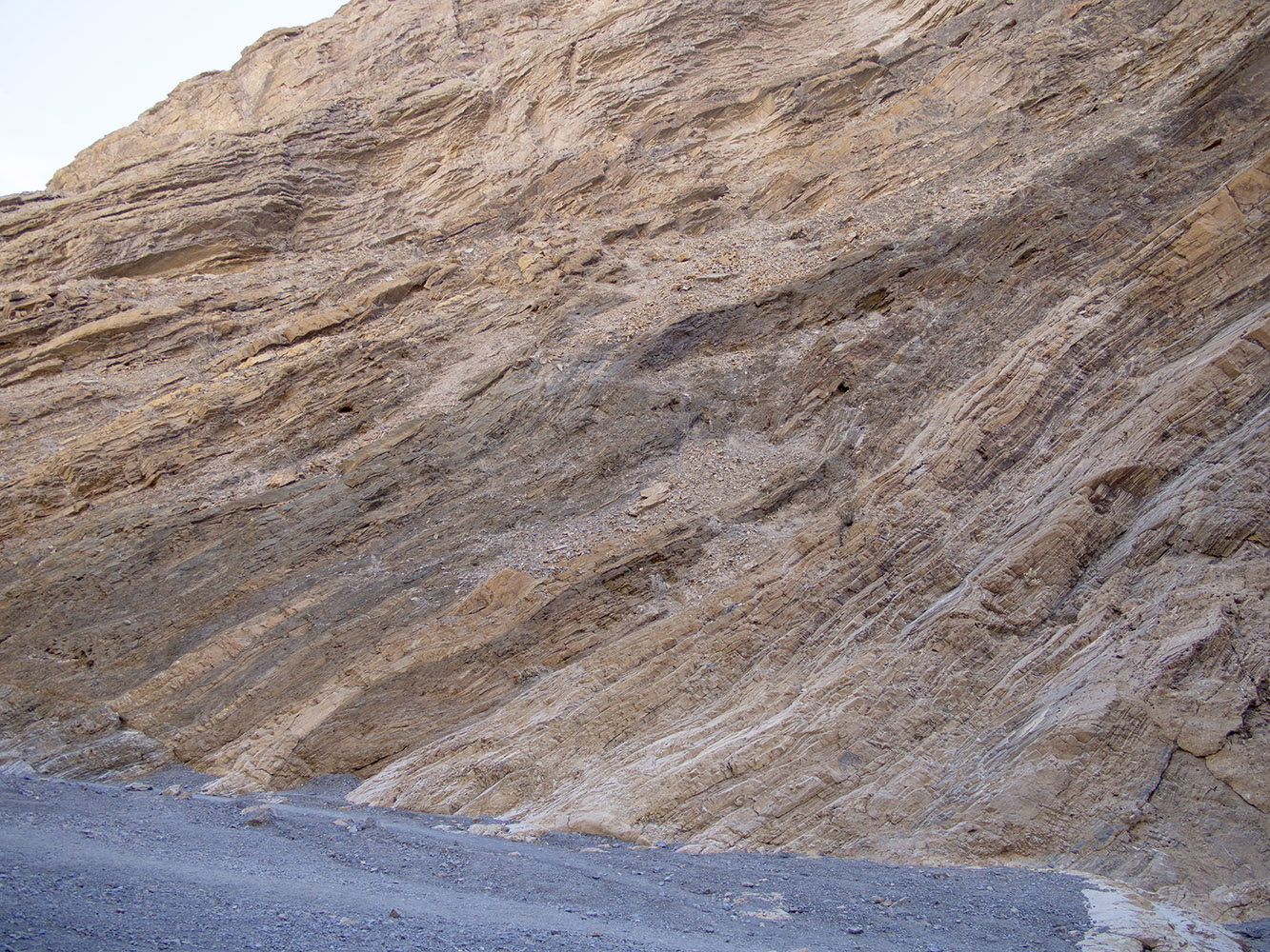 Mosaic Canyon – West wall of dolomite strata progressively condensed towards floor of canyon.