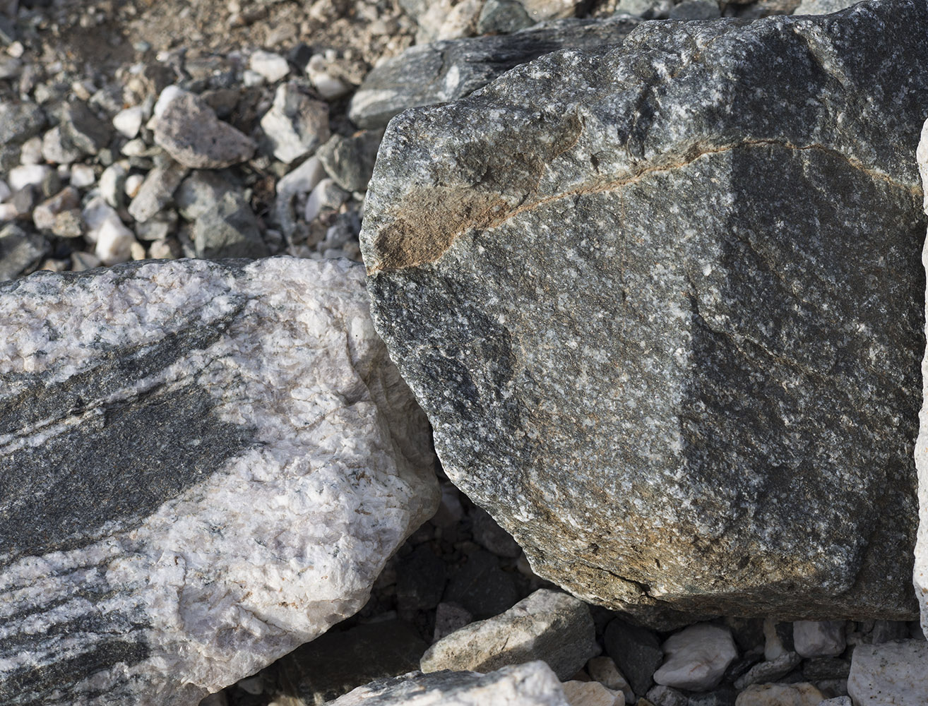 Badwater turtleback fault area metamorphic rock:  On the left is gneiss with pegmatite instruction.  I think the rock on the right would be described as amphibolite because of its darker colors.