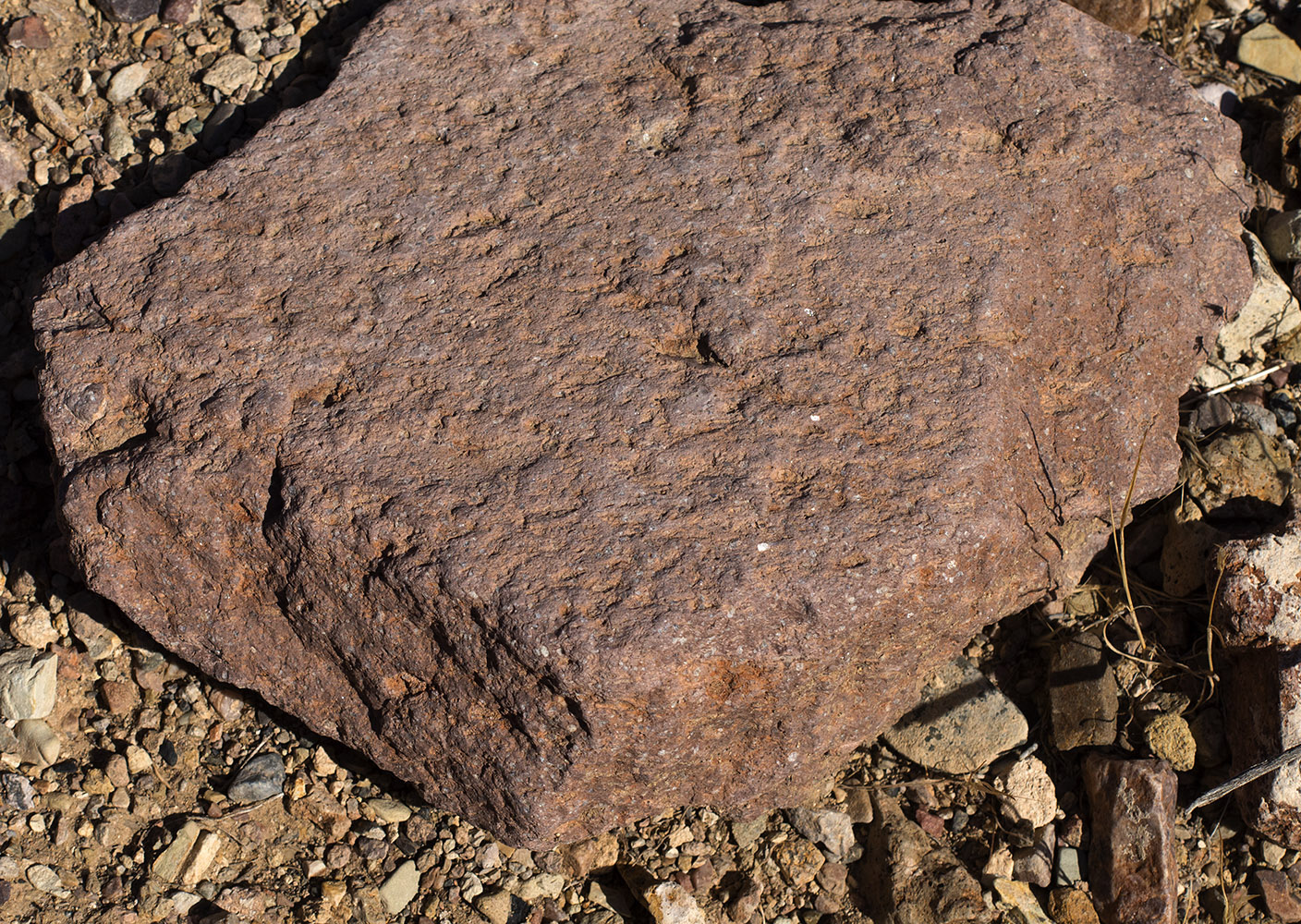 Weathered intermediate porphyritic volcanic rock in the wash next to Titus Canyon Road on the way to Red Pass.