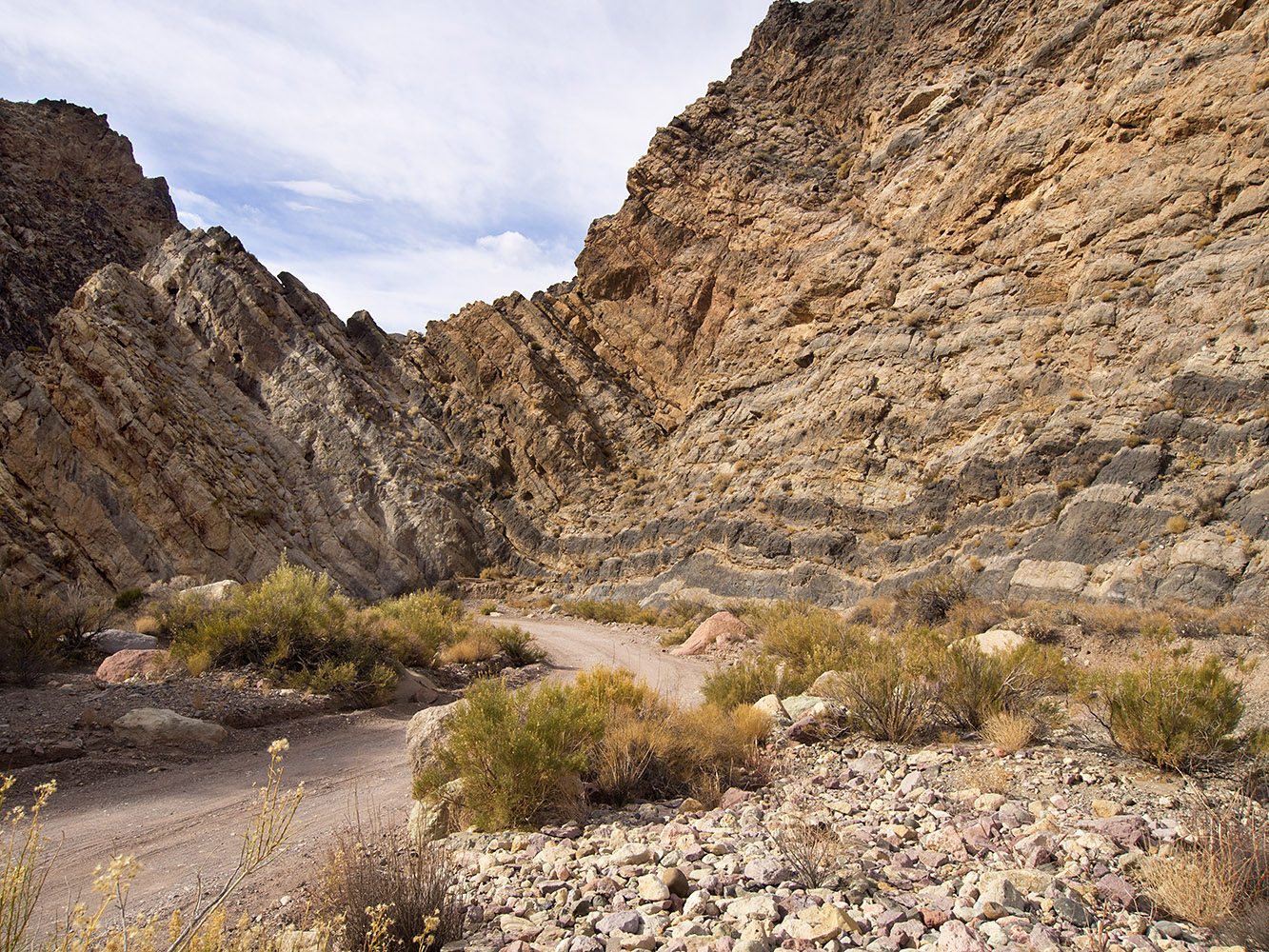 Apparent fold in Bonanza King Formation strata resembling a syncline.  However, this is only an apparent syncline since there is a sharp bend in the canyon with intersection of the bedding at two different angles.