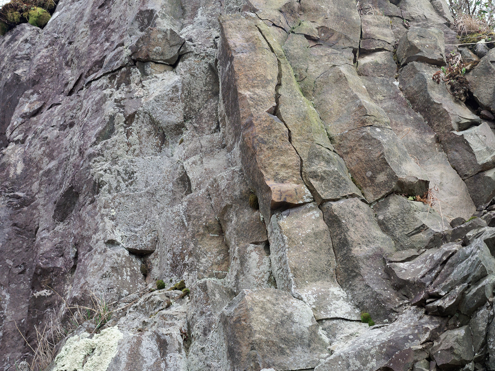 Columnar metabasalt from Catoctin Formation.  Columns are formed perpendicular to the cooling surface.  Indian Run road cut on Skyline Drive.
