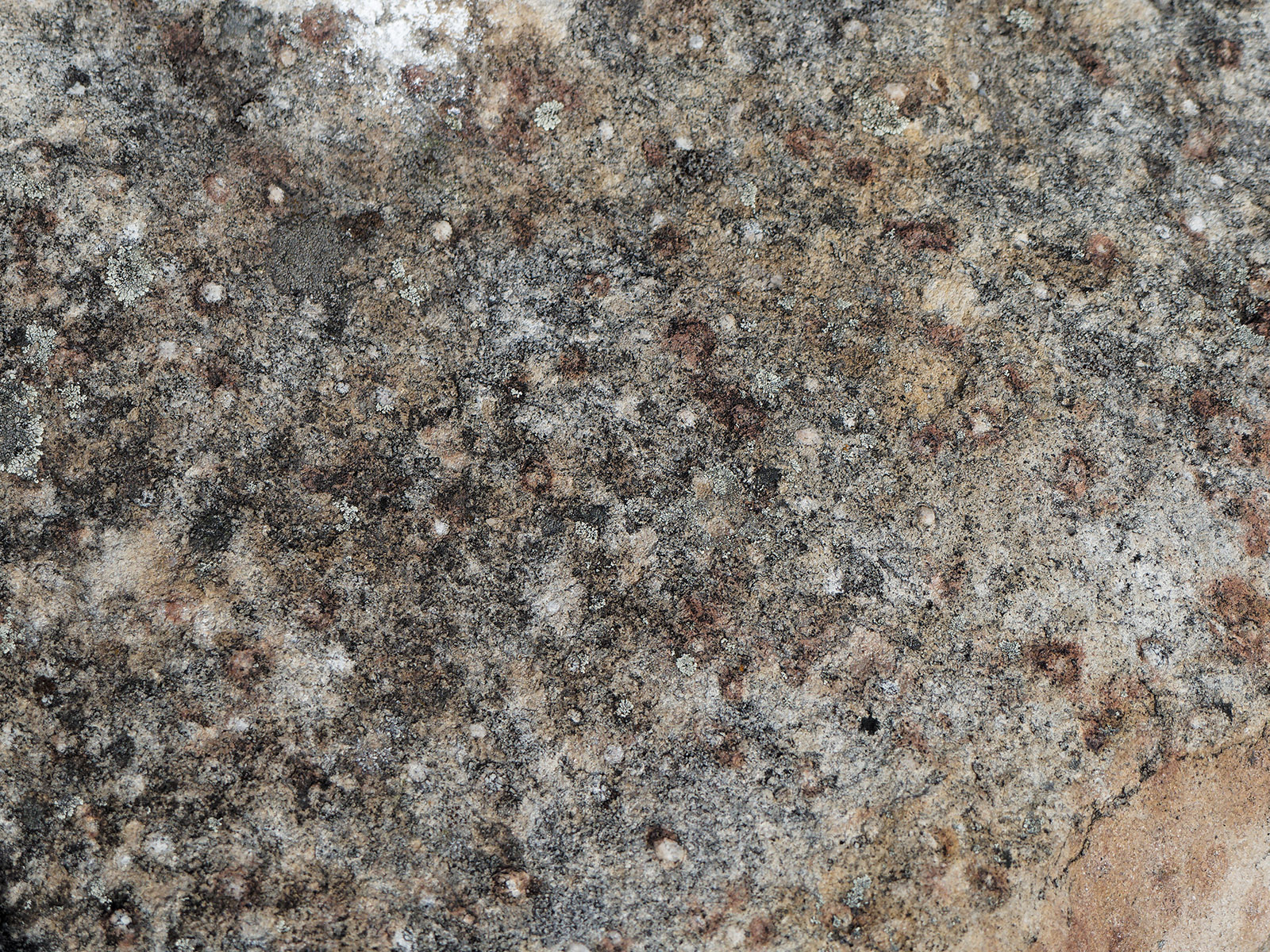 Top of quartzite with Skolithos burrowing trace fossils.