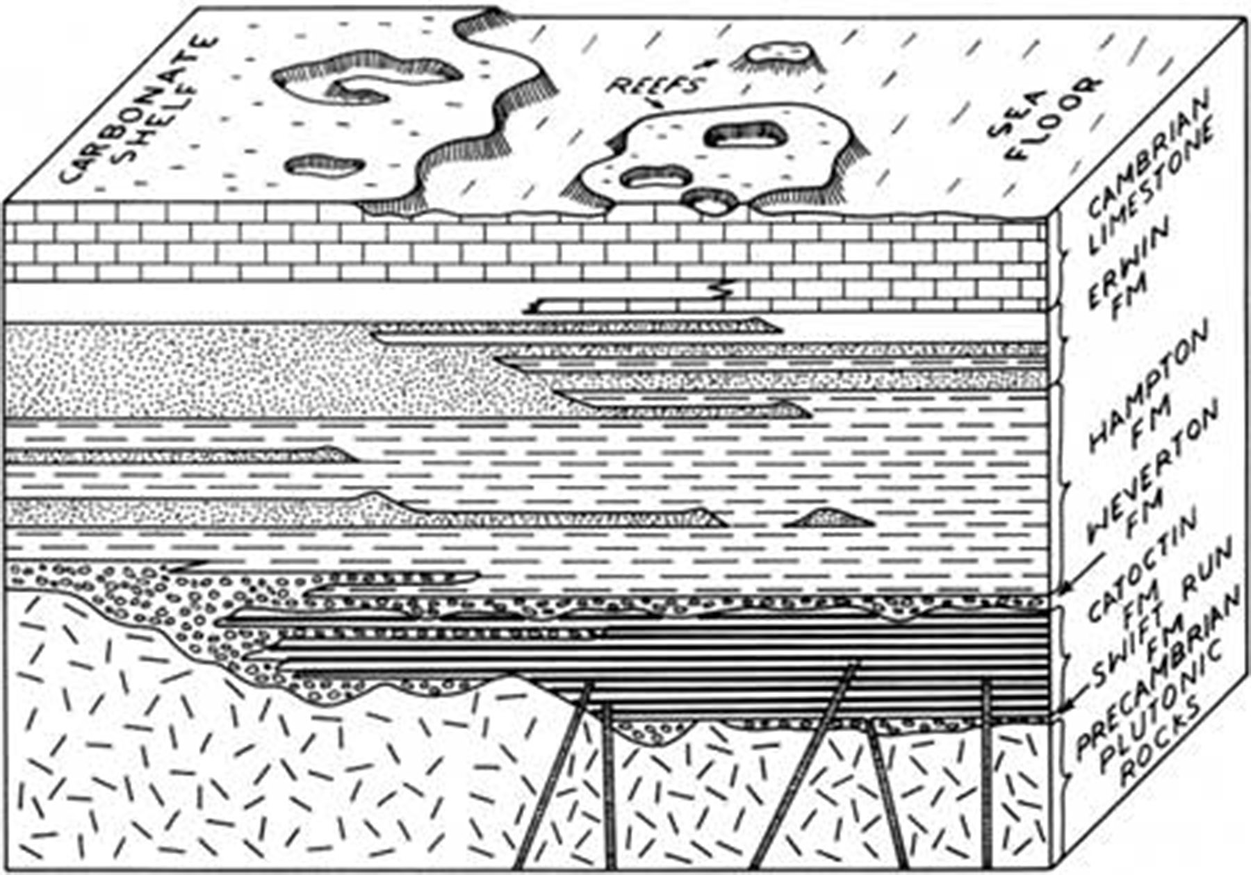 Figure 36:  In the Mid- to Late-Cambrian Period and proceeding into the Ordivician Period (445 to 485 Ma), the ocean moved further West and lime-precipitating marine organisms laid down carbonate layers that reached depths of 12,000 feet.  At the time before closing of the Iapetus Ocean and formation of Pangea, carbonate, sedimentary, and volcanic layers above what is now the Pedlar formation of gneiss may have reached up to 2.5 miles thick.  Geothermal forces alone would have resulted in metamorphic changes in the deep layers of rock.